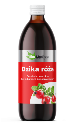 Dzika roza 500.png
