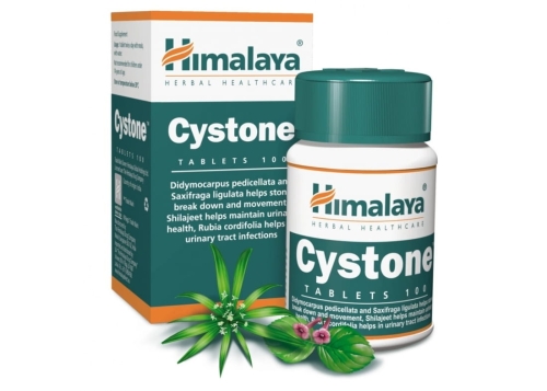 himalaya-cystone-100-tabl.jpg