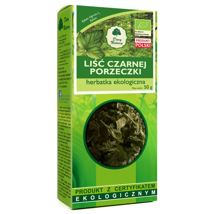 porzeczka-czarna-lisc.webp