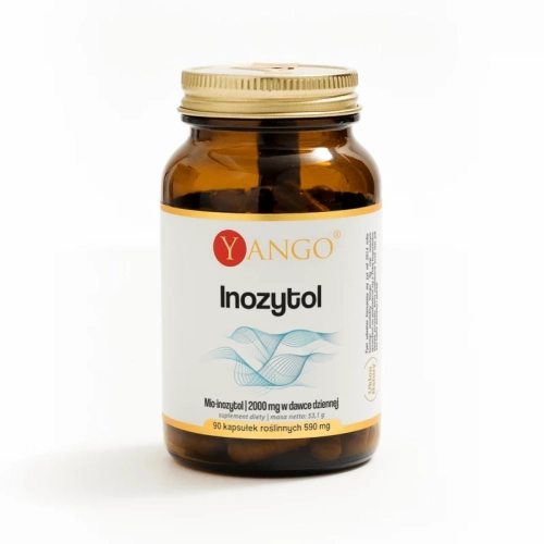 inozytol-120-kapsulek.webp