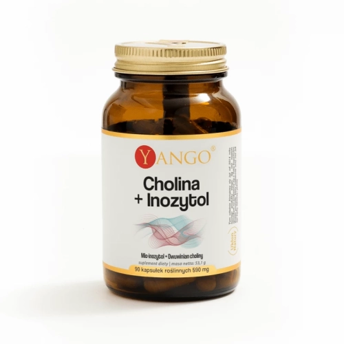 cholina-inozytol-90-kaps.webp