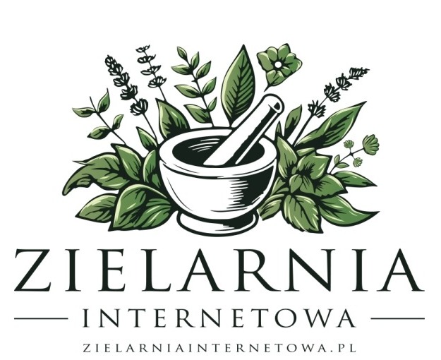 Shoper demo brak logo - strona główna