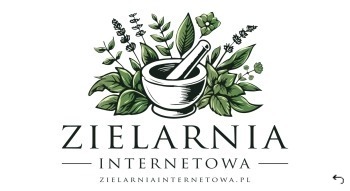 Shoper demo no logo - strona główna